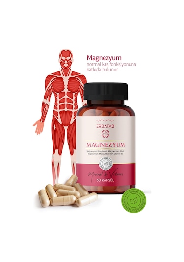 Erbatab Magnezyum Bisglisinat Sitrat Malat & Vitamin B2 B3 B6 3'lü Form 60 Kapsül