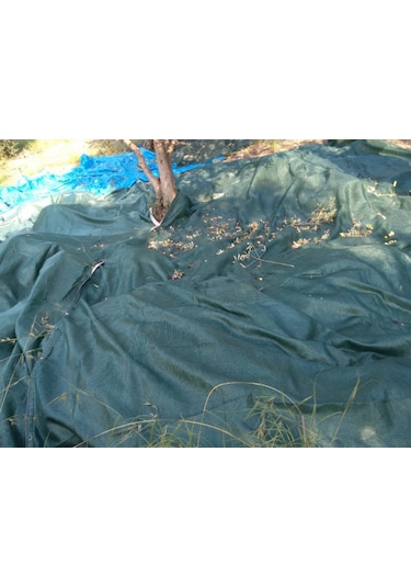 Morilu Dut Toplama Filesi - 75'lik Yeşil Şeritli Halkalı File - Sebze Kurutma Filesi - Hasat Filesi