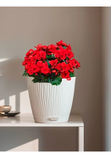 Saburg 3 Litrelik Tablalı Otomatik Sulama Sistemli Saksı Seti 386465069