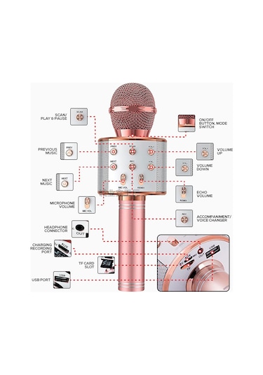 Bt Karaoke Mikrofon-rose Gold