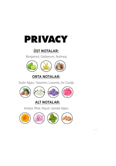 Privacy Gold Sensation Erkek Parfüm Şeffaf Şişe EDT 100 ML