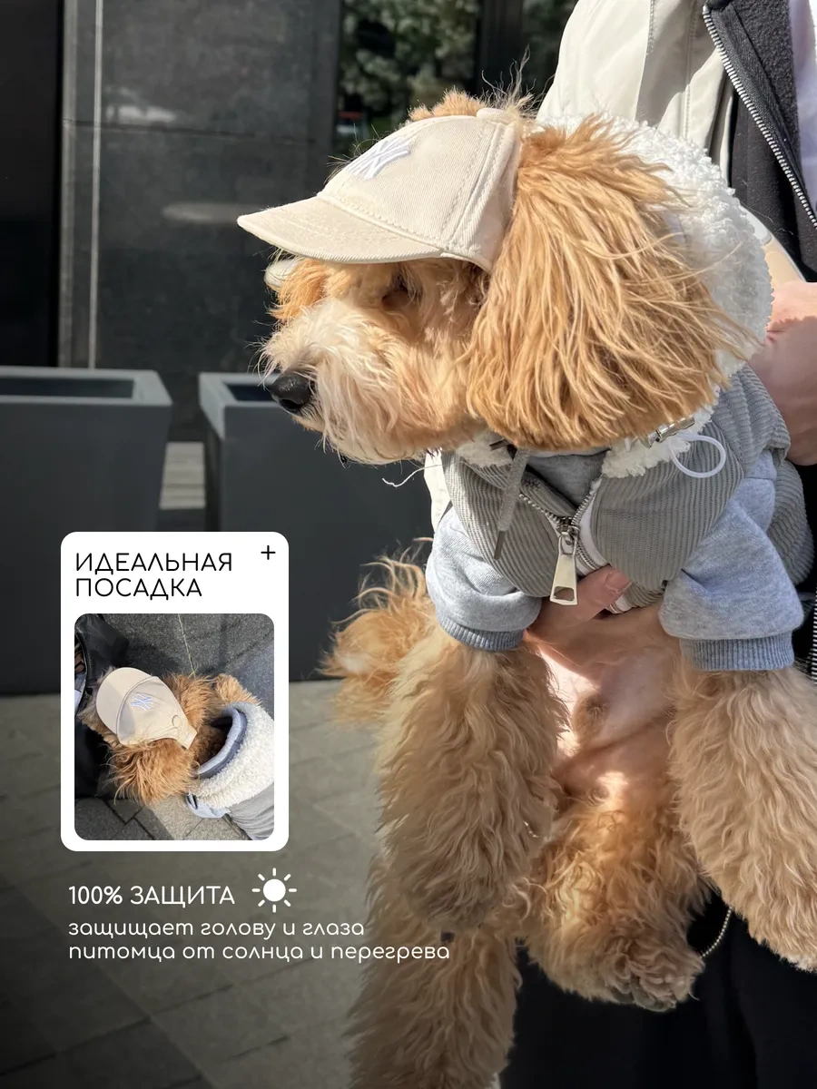 Petite Pets Ny Köpek Şapkası 409873959