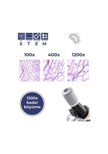 Temel Işıklı Bilim Mikroskopu 100x 400x 1200x Plastik Stem Eğitim Seti