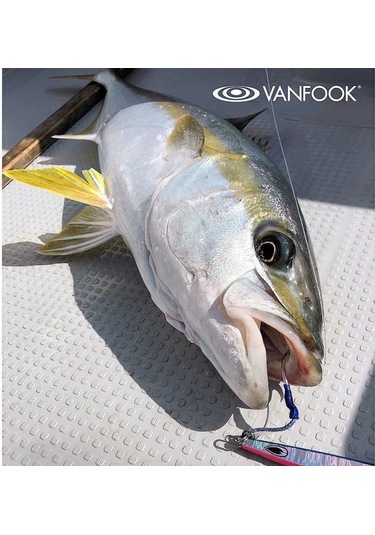 Vanfook Spear Tekli Assist Iğne Sa-60  5/0 3 Adet