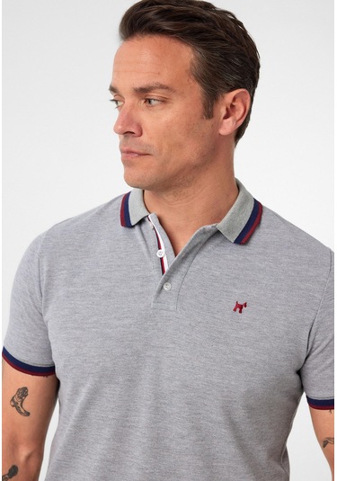 Javeir Erkek Regular Fit Çizgi Detaylı Polo Yaka T-shirt Gri