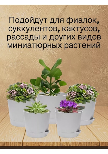 Interm Menekşeler, Sukulentler Ve Kaktüsler İçin Küçük Çiçek Saksısı 211028815