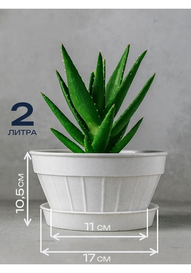 Angora Çiçekler İçin Plastik Saksılar Seti 5 Parça 231204799