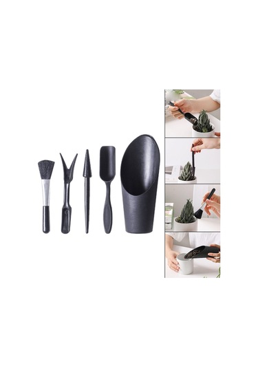 Tohhum Karışık Kaktüs Tohumu Ve Kaktüs Sukulent Ekim Bakım Seti