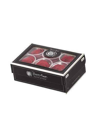Rose Amor red-02 kırmızı şoklanmış solmaz gül XL 1 KUTU (6 ADET G