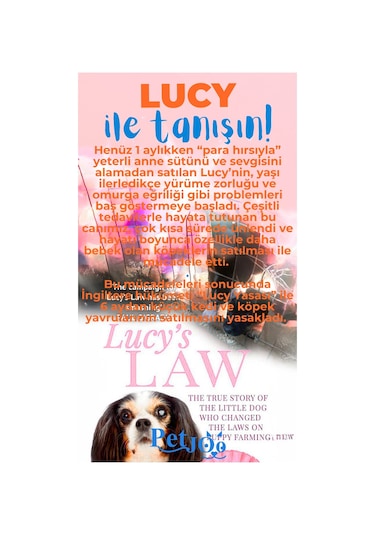 Petjoo 11.Lucy Mavi-Turuncu Qr'lı Köpek Künyesi