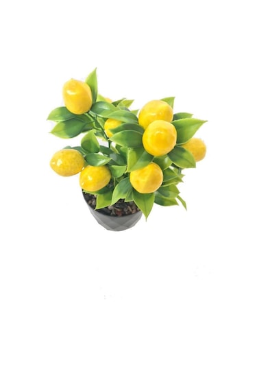 Yapay Çiçek Limon Ağacı Siyah Saksıda Ve Dekoratif