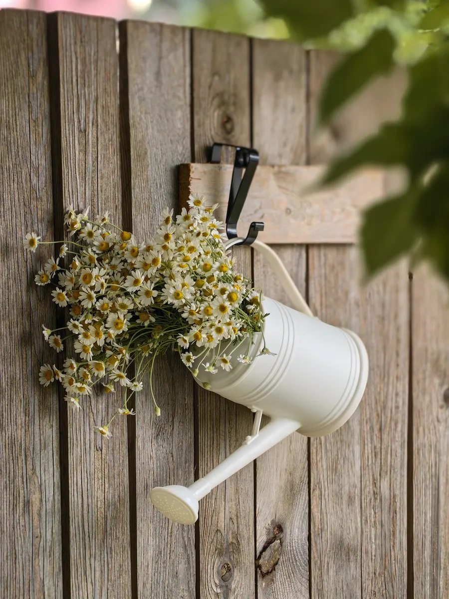 Home Lovers İç Mekan Çiçekleri Ve Bitkileri İçin Uzun Burunlu Beyaz Sulama Kabı 165644125