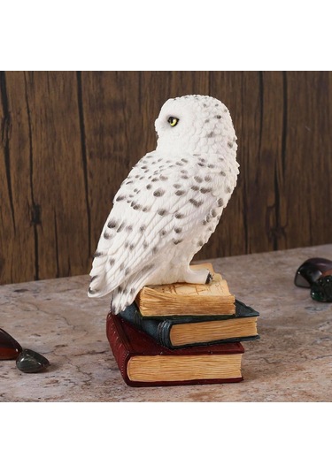 Kitap Üzerinde Beyaz Kar Baykuşu Hedwig Biblosu - Harry Potter