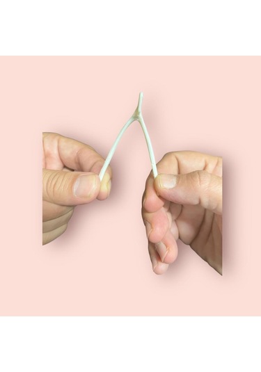 Nostaljik Lades Oyuncağı Plastik Lades Kemiği