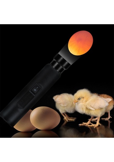 Qingmipy Led Soğuk Işık Yumurta Test Cihazı Tavuk Ördek Kaz Yumurtası Gelişim Kontrolü 100-240v Amerikan Standartı