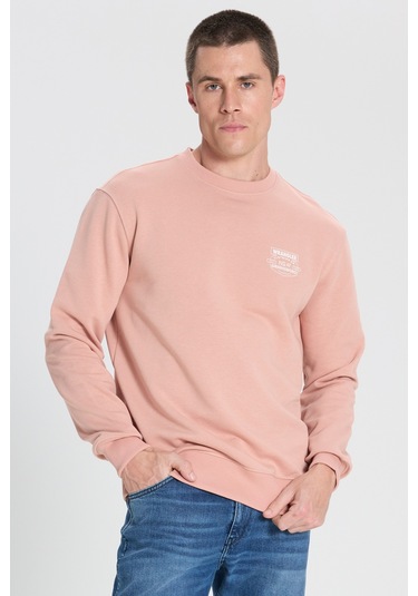 Regular Fit Normal Kesim Bisiklet Yaka Pembe Sweatshirt W242338613 Pembe