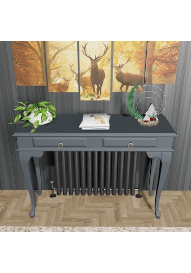 Roys Ahşap 100 Cm Antrasit Gri Çekmeceli Petek Üstü Yüksek  Dresua Gri