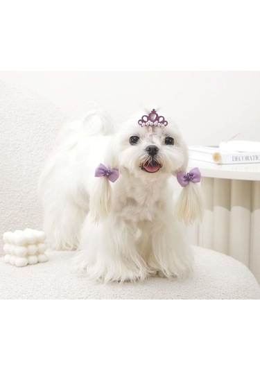 M-pets Glam Taç Ve Fiyonklu Kedi Ve Köpekler İçin Aksesuar Toka Mor Mavi