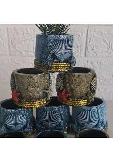 Deniz Kabuklu Saksı