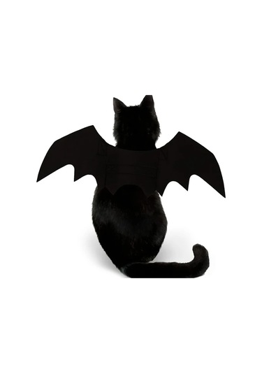 Willowhaven Siyah Kedi Yarasa Kanatları Kostümü 2li Set - Yumuşak Polyester Halloween Evcil Aksesuar