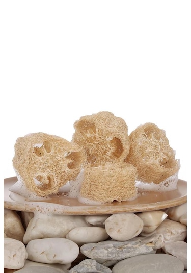 Şık Kalıp Doğal Kabak Lifi