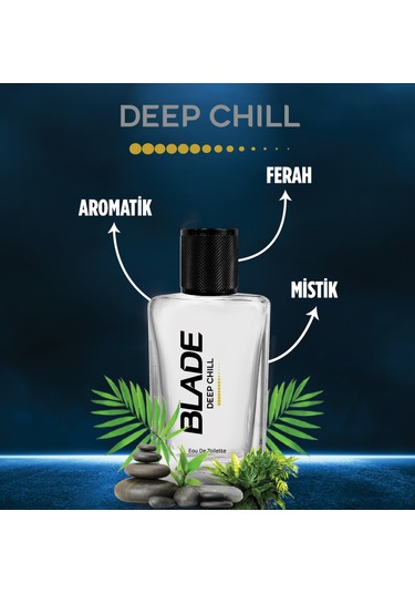 ﻿Blade Deep Chill Erkek Parfüm EDT 70 ML
