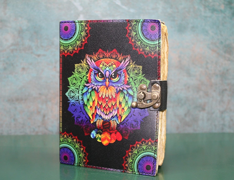 River World Seri B Defter Deri Baykuşlu Çok Renkli