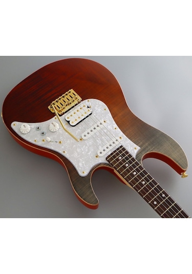Fujigen Odyssey Elektro Gitar Eos2fmr/rkg