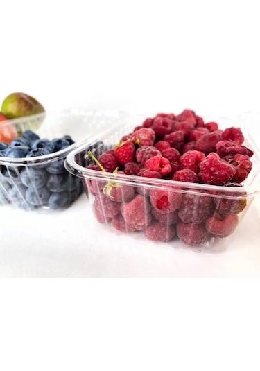 Tpt Kapaksız Tek Kullanımlık Plastik Kaplar 10 Adet 171604887 100 adet