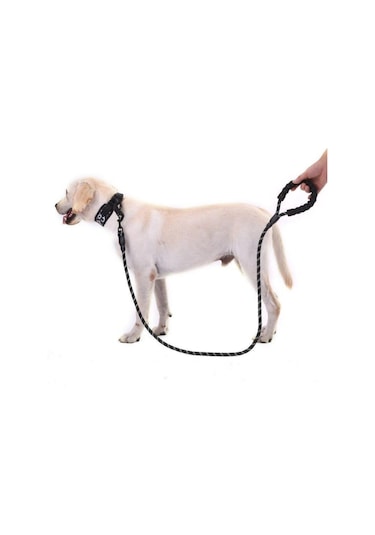 Reflektörlü Köpek Tasması 130 Cm. Diğer