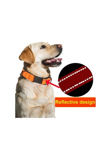 Tasmalı Suya Dayanıklı Kumaş Pet Yansıtıcı Yaka For Waterproof Collar + Leash, S Siyah Turuncu