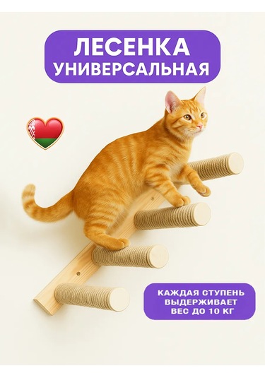 Go Cats Kedi Tırmanma Merdiveni Tırnak Törpüleme 388142182