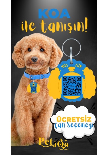 Petjoo 14.Koa Sarı-Mavi Qr'lı Köpek Künyesi