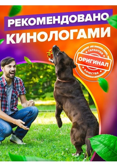 Petfort Köpekler İçin Çiğneme Oyuncağı, Süper Dayanıklı Top 159440581