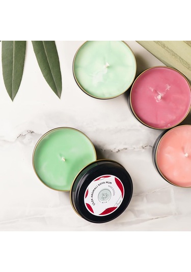 Mitr Çilek Aromalı Metal Soya Mum Çok Renkli