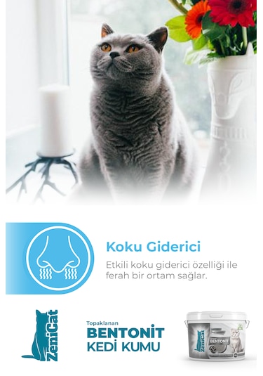 Zenicat Aktif Karbonlu Kedi Kumu İnce Taneli Doğal Bentonit 10 L
