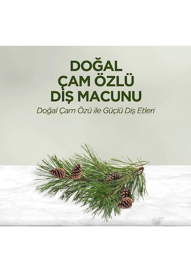 Eyüp Sabri Tuncer Doğal Çam Özlü Diş Macunu 90 ML