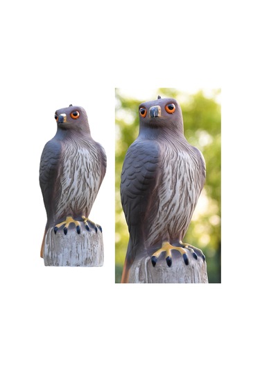 Homyl Kartal Heykeli Plastik Raf Kitaplık Masaüstü Heykelcik Orta