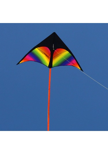 Suntek Dev Delta Uçurtma Fly Uçurtma Windsock Üçgen Uçurtma
