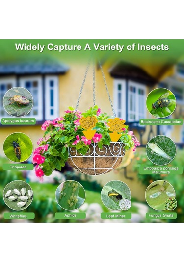 Vkemall 100 Adet Çift Taraflı Meyve Sinek Tutanı - Bitki Zararlısı Engelleme, Toksik Olmayan, Su Geçirmez, Kolay Kullanım 5 Farklı Desen: Kelebek, Havuç, Köpek, Çam, Baykuş