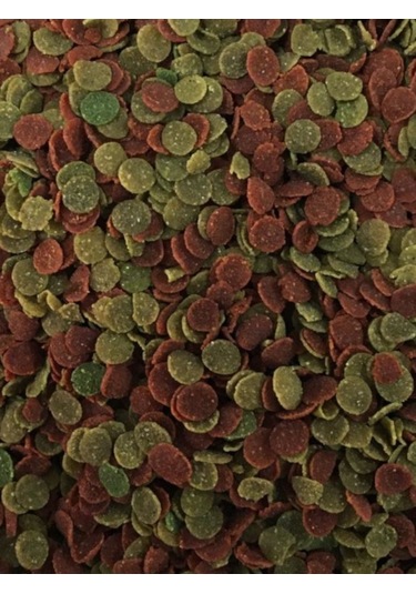 Protein-50 Red Algae 250ml + Protein-48 Garlic 250ml Balık Yemi