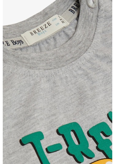 Erkek Bebek Dinazor Baskılı Eşofman Takım-13390-grı Gri