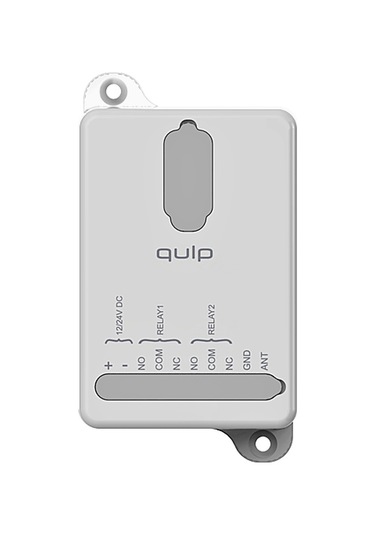 Qulp R1 1 Kanallı Değişken Kodlu Alıcı