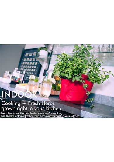 Qingmipy 3 Lü Felt Bitki Saksısı - Çayır Yeşili, 23x28cm, 18l/5 Galon, Çilek, Ot Ve Çiçekler İçin, Sıcak/soğuk Dayanıklı, Taşınabilir