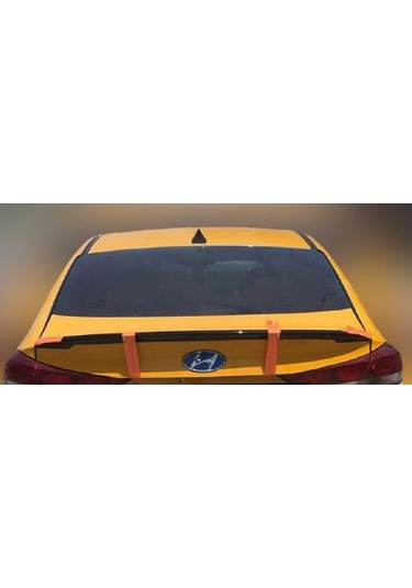 Hyundai Elentra 2016-2019 Boyalı Anatomik Spoiler