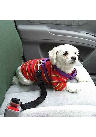 Araba Köpek Emniyet Kemeri Oto Evcil Hayvan Araç Tasması Kemeri