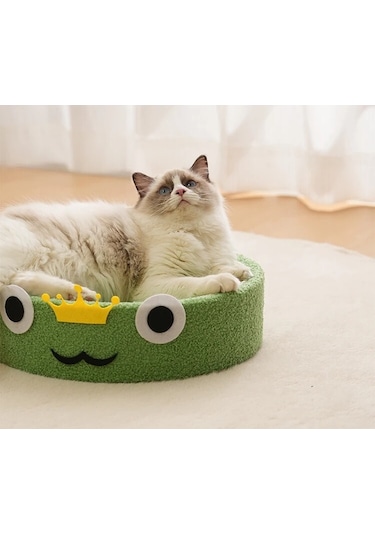 Raikou Kedi Tırmalama Alanı Kedi Oyun Alanı