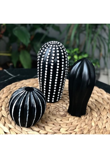 Thiramis Siyah Beyaz Detay Dekoratif 3'lü Kaktüs