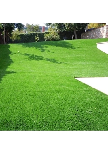 Dört Mevsim Ekilen 6 Karışımlı Çim Tohumu 1 Kğ