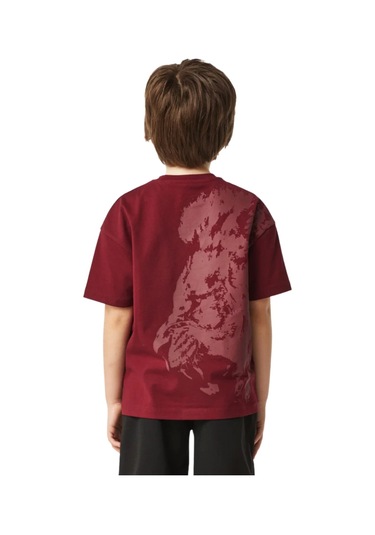 Gsstore Galatasaray Lisanslı Çocuk T-shirt Bordo